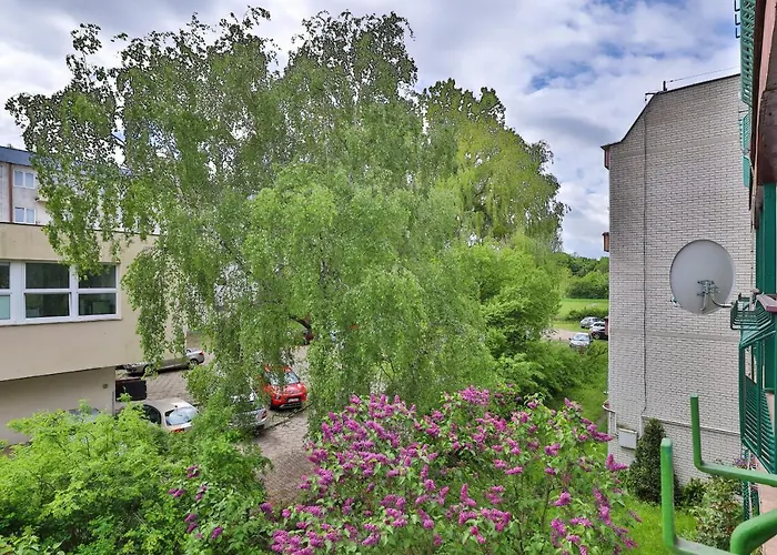 Daire Karlikowo By Renters *